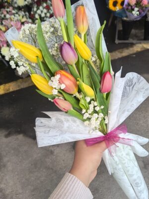 tulipanes